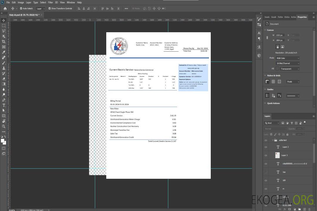 Égypte Modèle de facture de services publics d'électricité égyptienne aux formats Word et PDF template